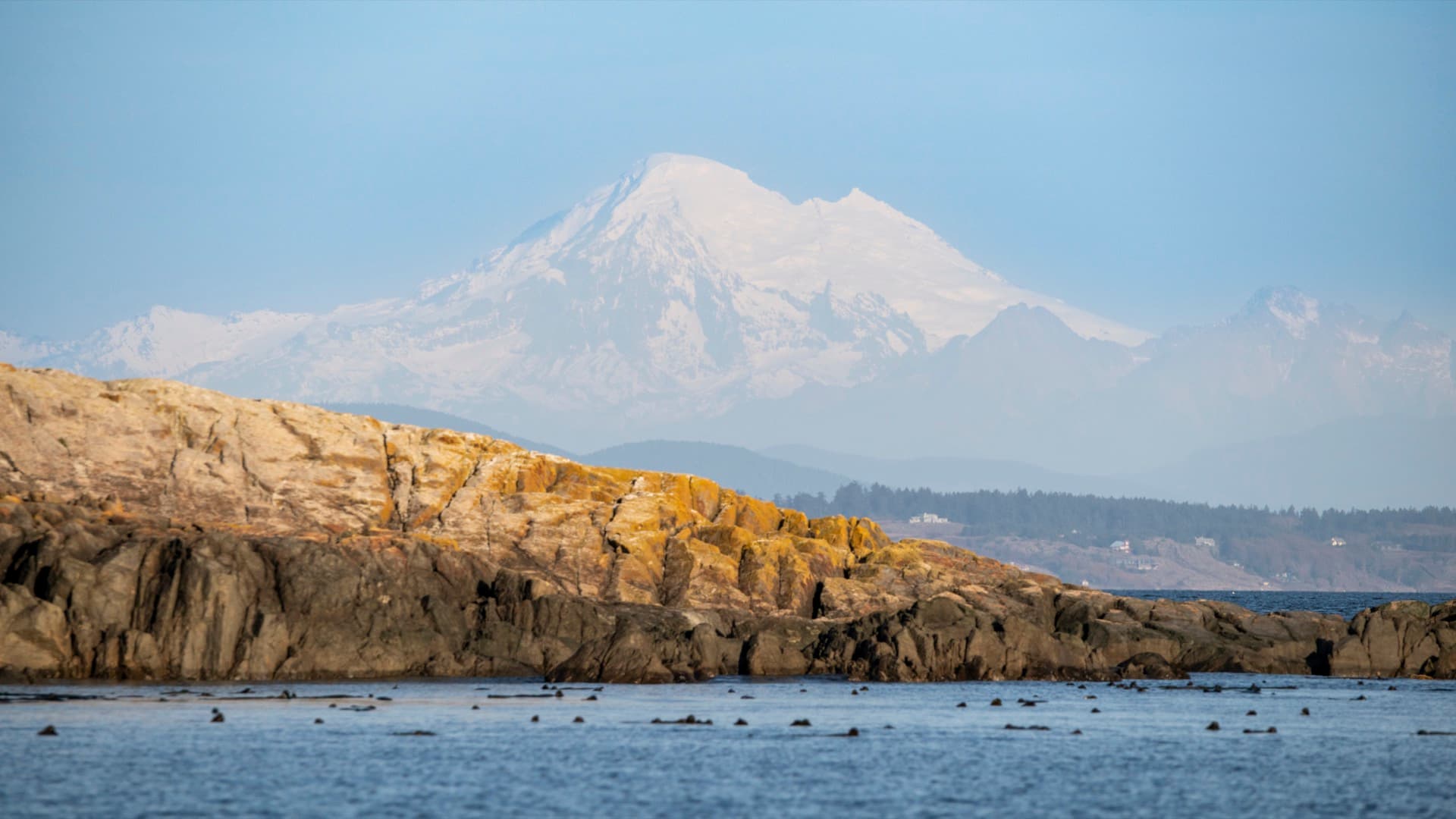 Rocky coastline with Mt. Baker and seals — scenic charter territory
