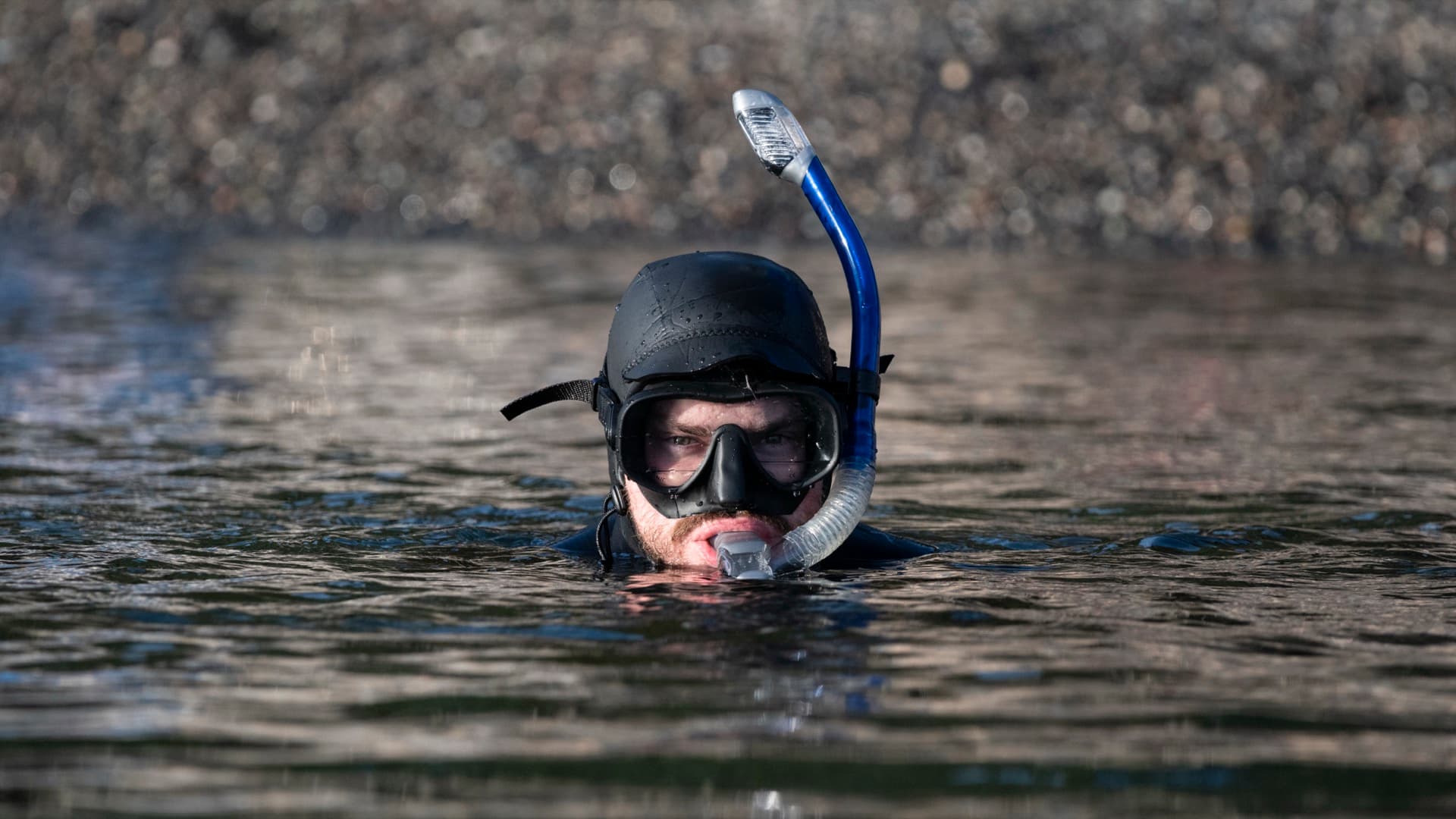 Snorkeler in the coastal waters of Victoria, BC