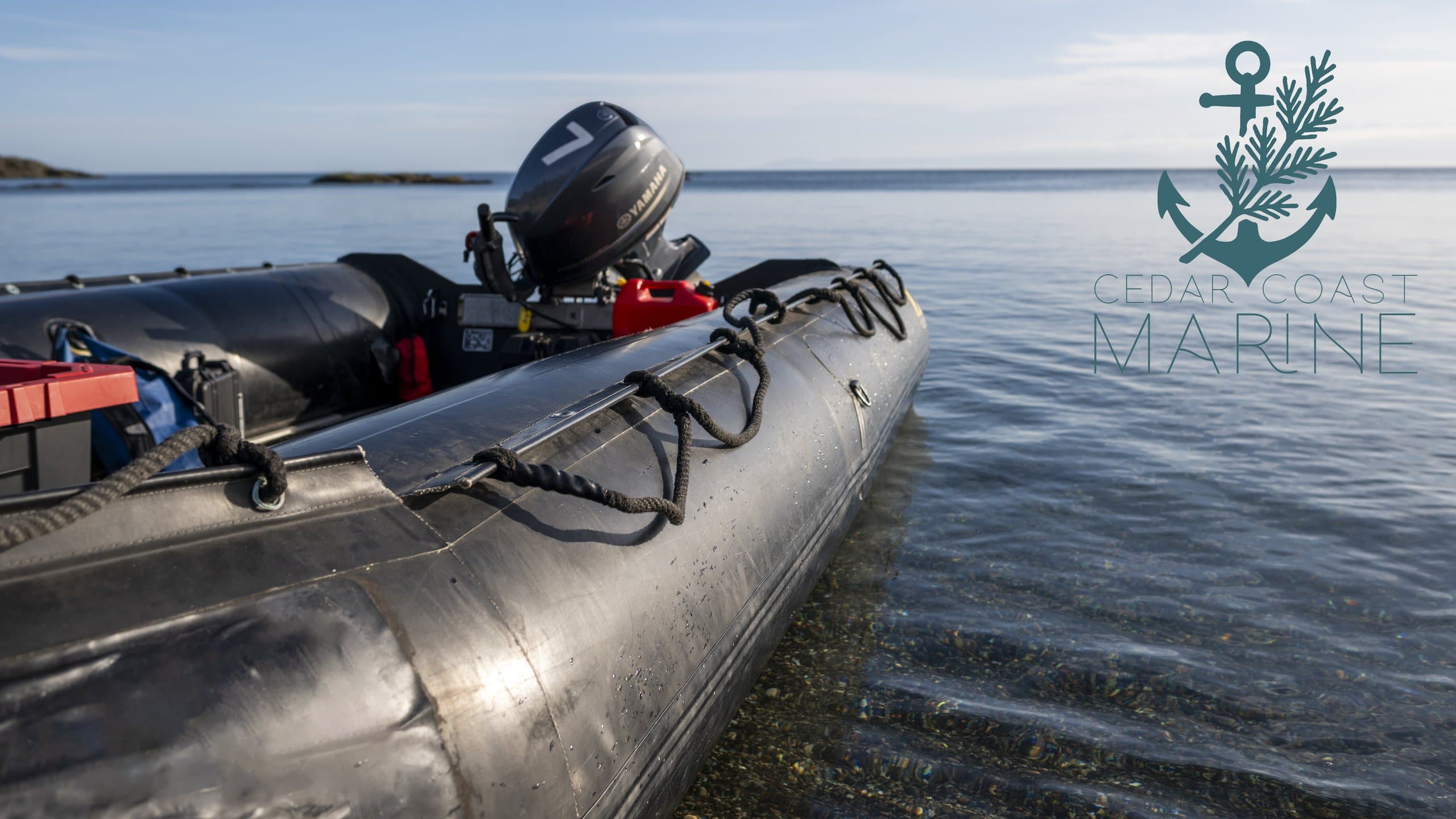 Outboard engine detail